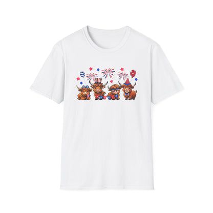 Festive Graphic T-Shirt, Independence Day Shirt, Casual Summer Style, Unisex Tee, Holiday Celebration Wear, Fireworks Design