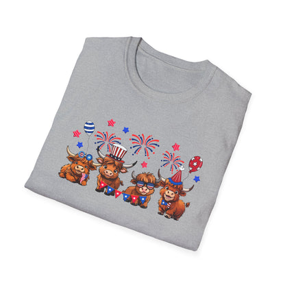 Festive Graphic T-Shirt, Independence Day Shirt, Casual Summer Style, Unisex Tee, Holiday Celebration Wear, Fireworks Design