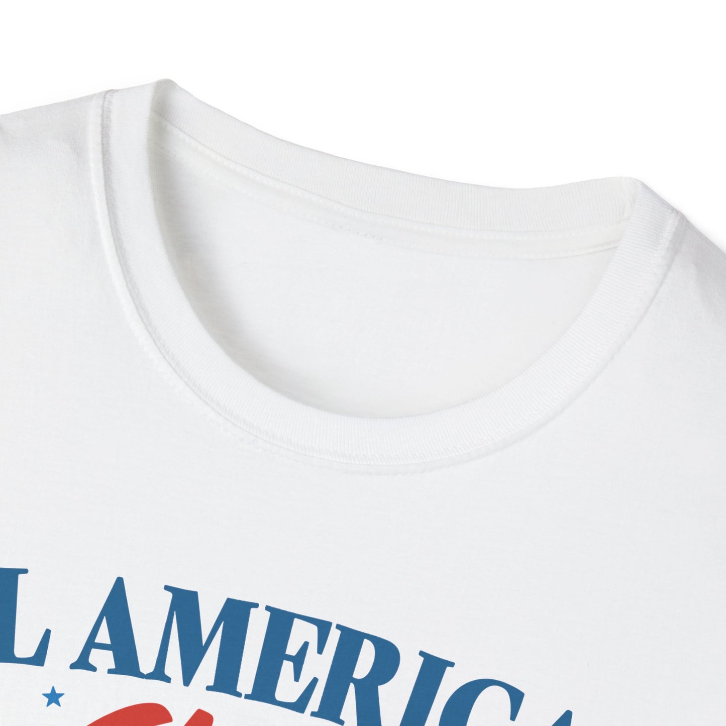 All American Chick T-Shirt, Fun Independence Day Tee, All American Chick Shirt, Cute Farm Animal Apparel, Gift for Chicken Lovers